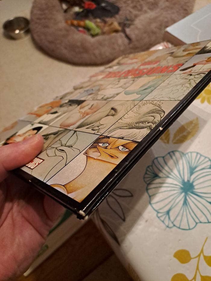 Solo Télévisions - photo numéro 6