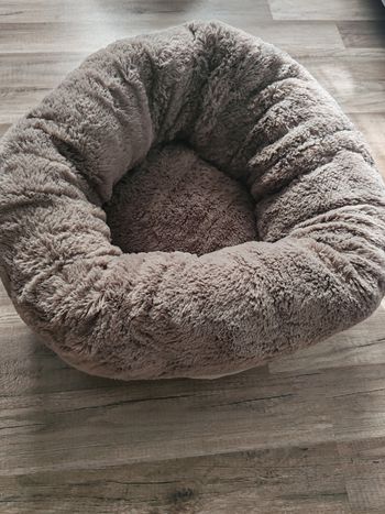 Panier chat ou chien