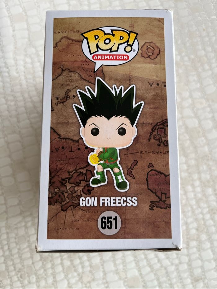 Pop gon freecss - photo numéro 3