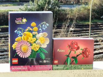 Lego le bouquet ensoleillé et roses 