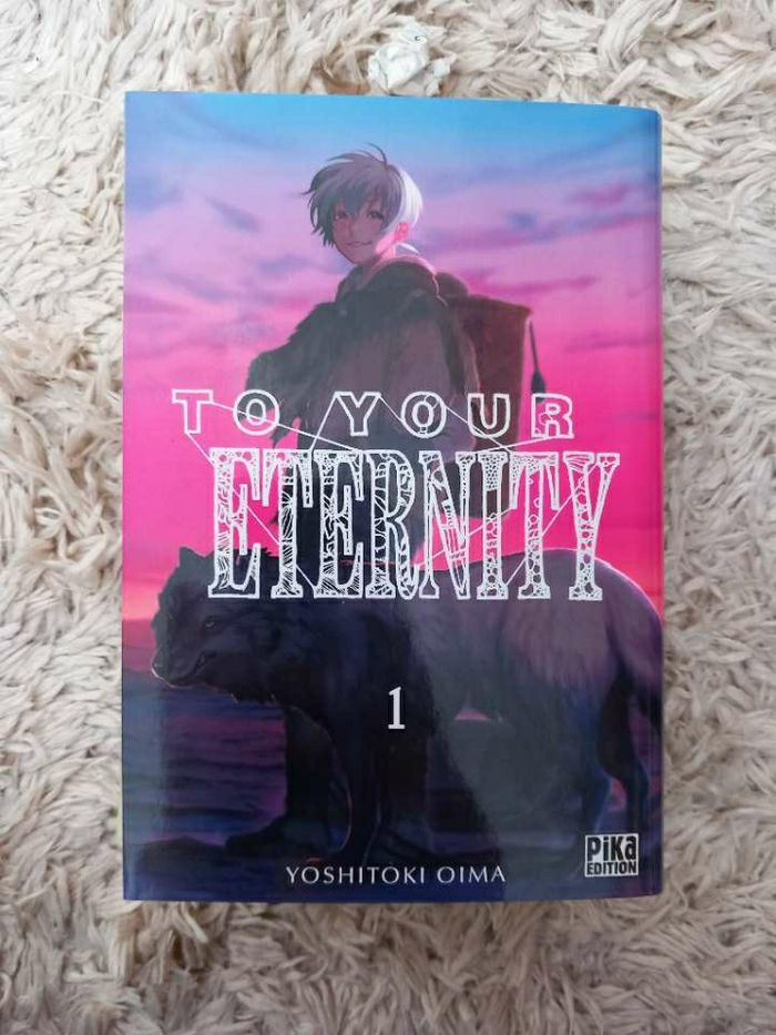 Tome 1 à 3 " To your Eternity" - photo numéro 2