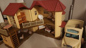 Lot sylvanian