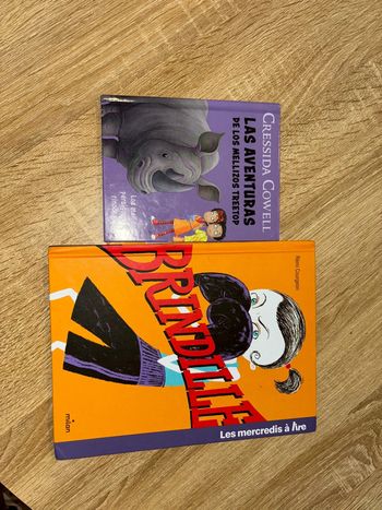 Lot de 2 livres pour enfant en très bon état