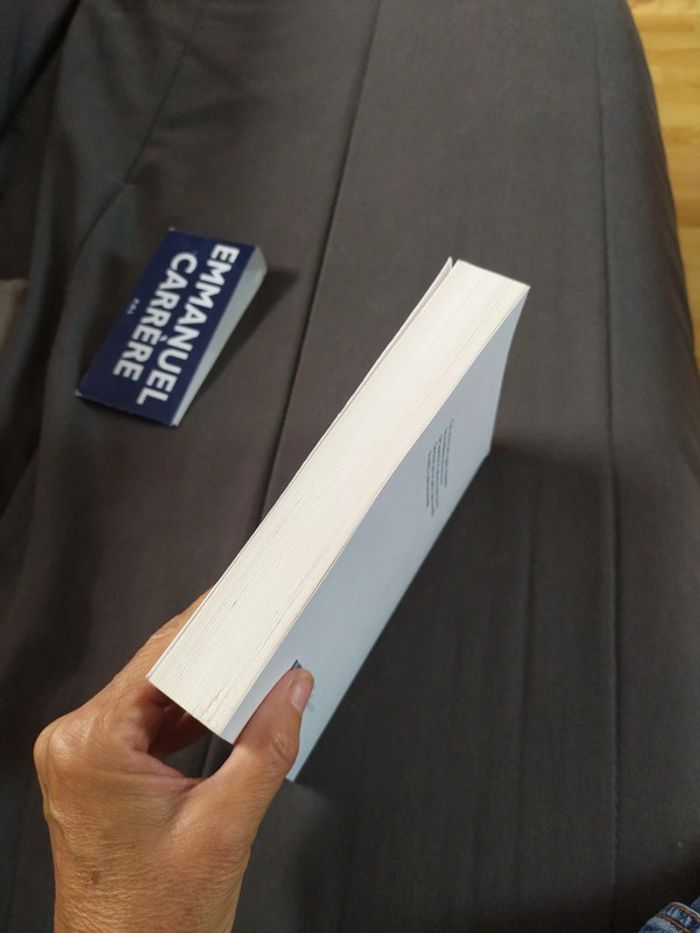 Yoga par Emmanuel Carrère - photo numéro 5