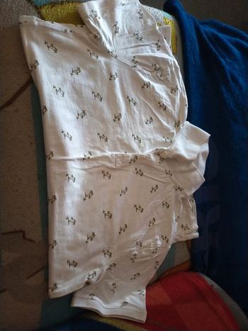 Polo 16 ans