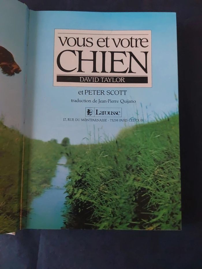 Vous et votre chien - photo numéro 3
