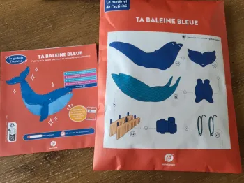 Pandacraft Makers- 8/12 ans - Ta baleine bleue