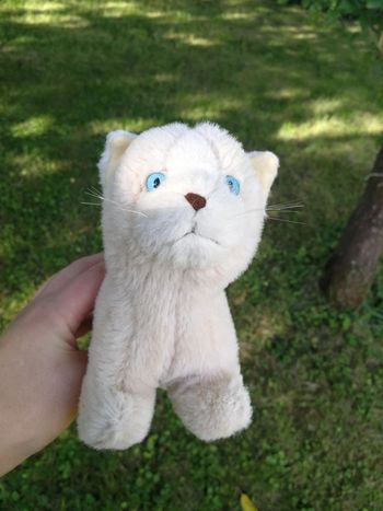 Peluche chat beige yeux bleus