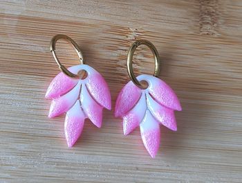 Boucles d'oreilles 