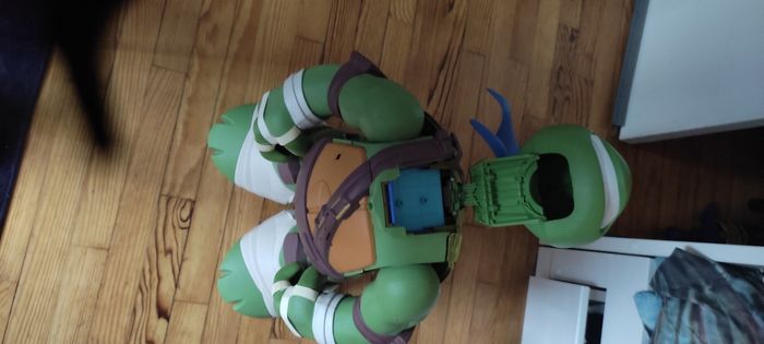 Tortue ninja - photo numéro 2