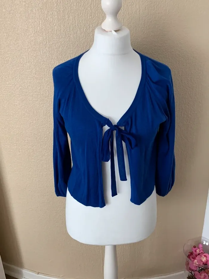 cardigan bleu L-XL - photo numéro 2
