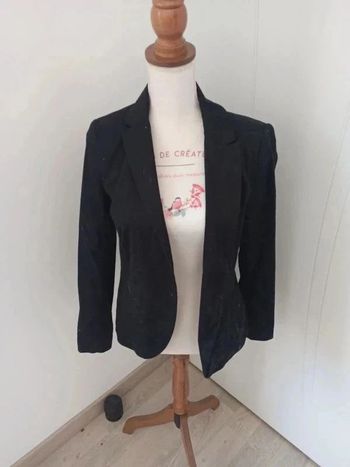 Veste
