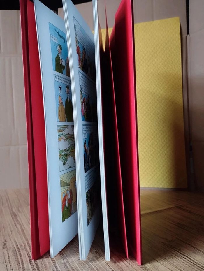 Les aventures de Tintin club France loisirs 2007 Casterman - photo numéro 10