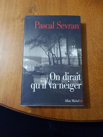 On Dirait Qu'il Va Neiger Pascal Servan