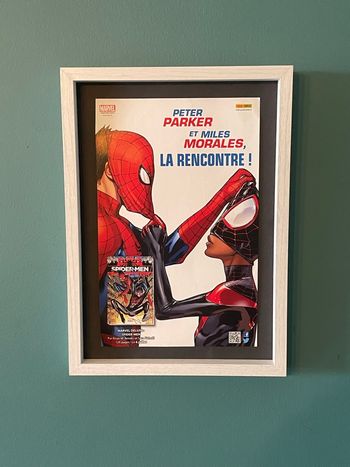 Cadre Spider-Man - Spider-Man Miles Morales