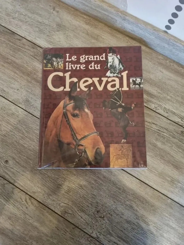Livre Le Grand livre du Cheval