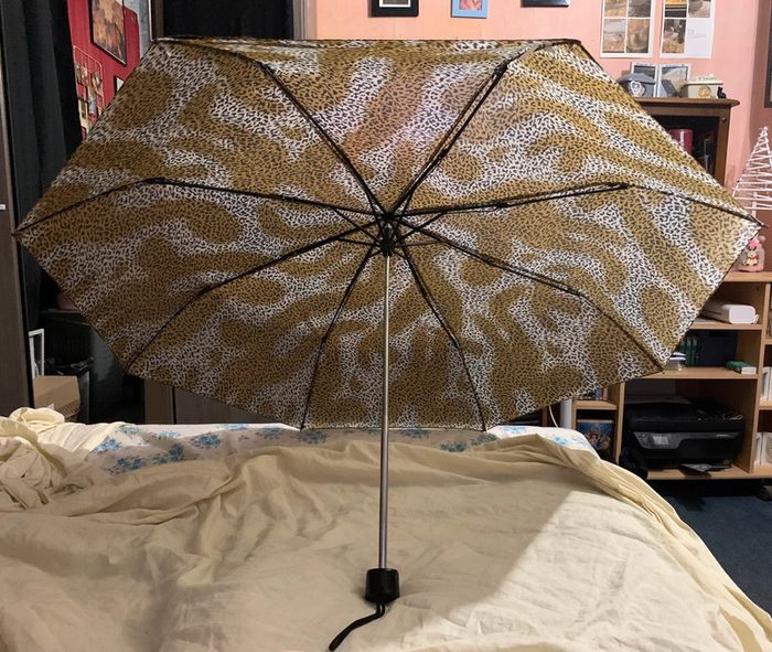 Parapluie - photo numéro 2