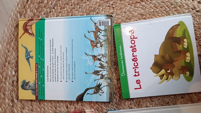 Lot de livres éducatifs sur les dinosaures - photo numéro 6