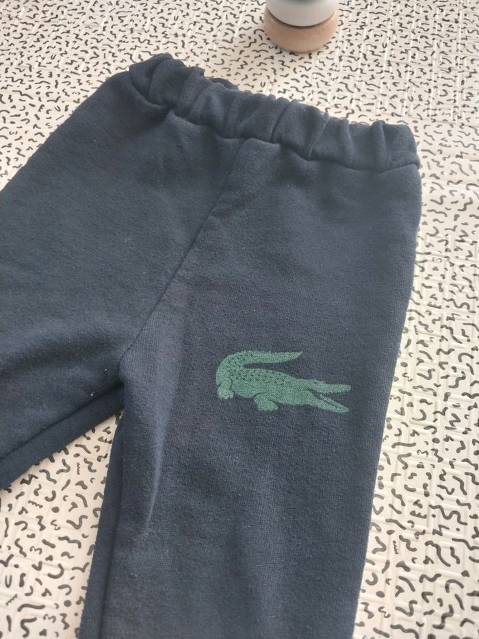 Jogging bébé garçon – motif crocodile - photo numéro 2
