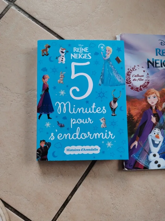 Livres reine des neiges - photo numéro 2