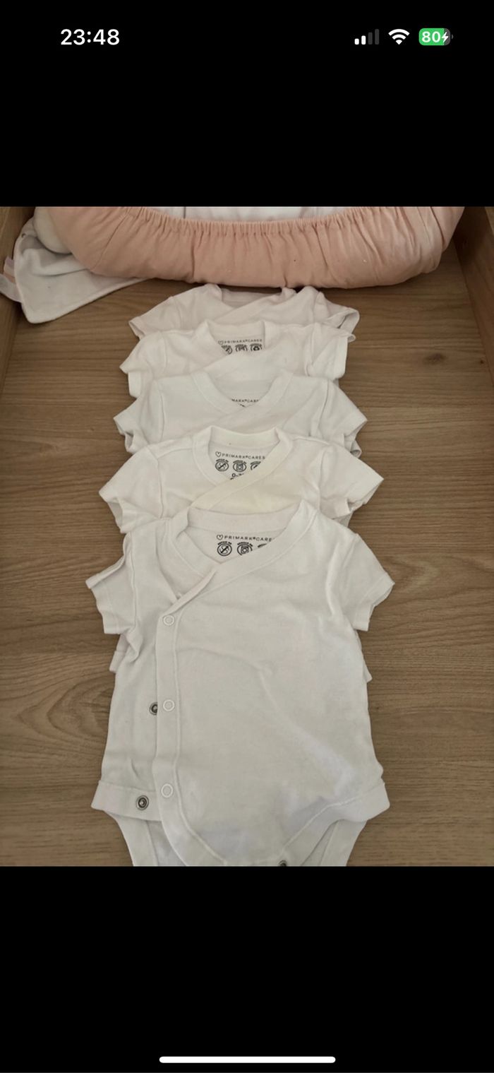 Lot 5 bodies