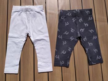 🐱lot leggings 🐱