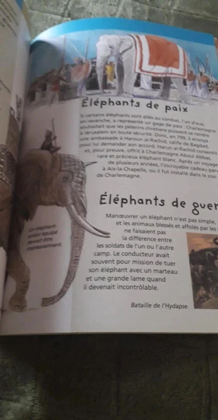 Superbe lot d' ouvrages animalier / Le Tigre / L' éléphant / Jeunesse. - photo numéro 10