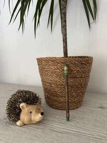 Stylo effaçable Lutin Noël 2024 Legami