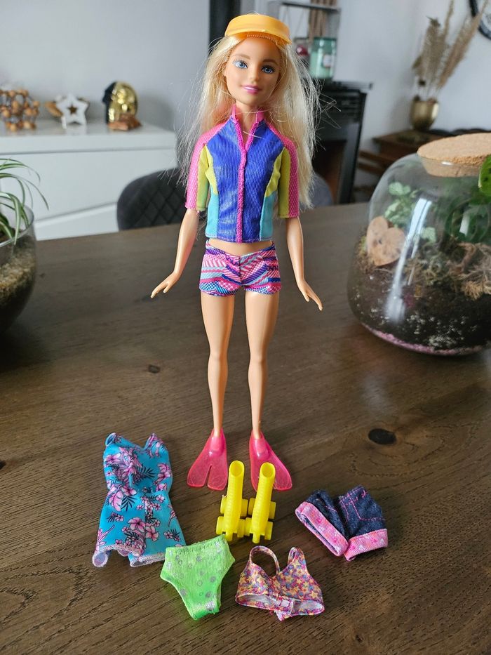 Barbie et accessoires