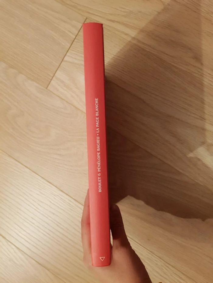 Livre la page blanche - boulet et Pénélope bagieu - photo numéro 3