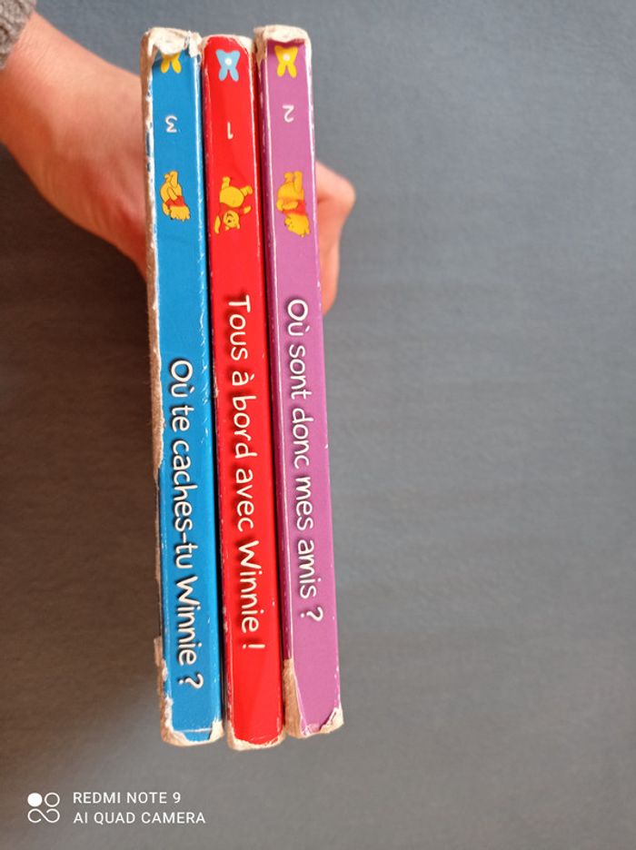 Lot de livres à trous Winnie l'ourson, éditions Hemma - photo numéro 8