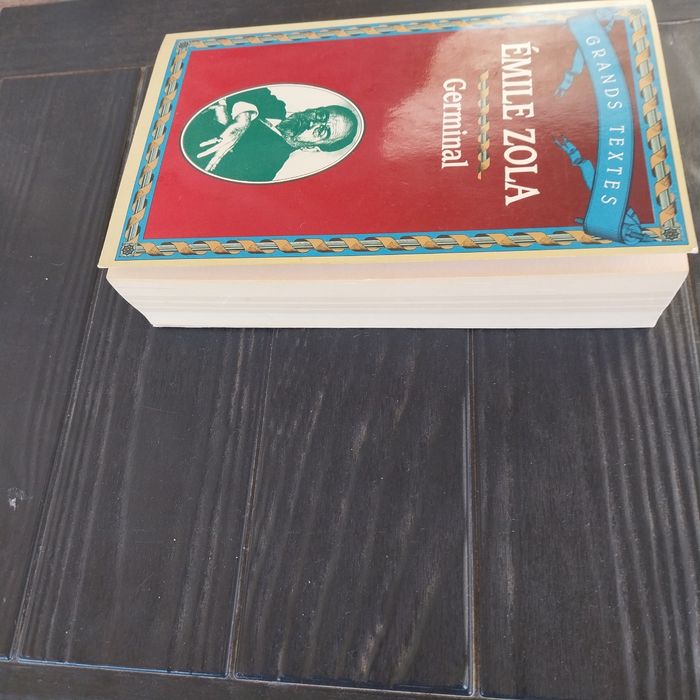 Germinal d'Émile Zola 5 euros - photo numéro 5