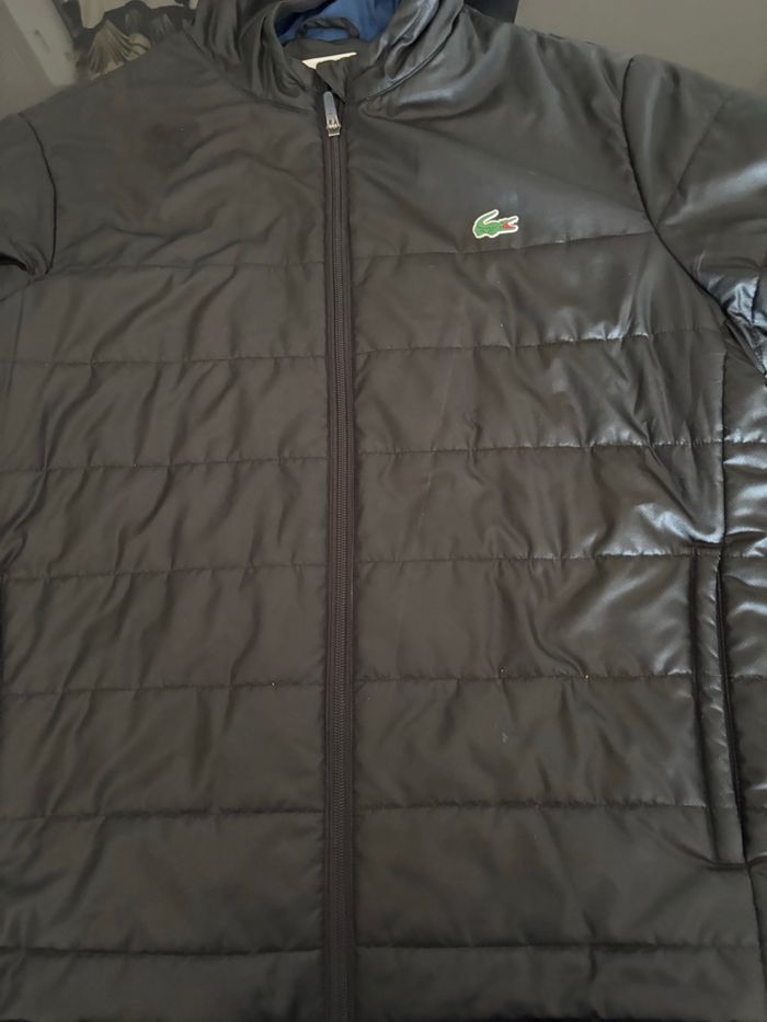 Doudoune homme Lacoste