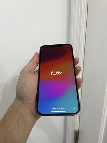 Apple 12 pro Max
