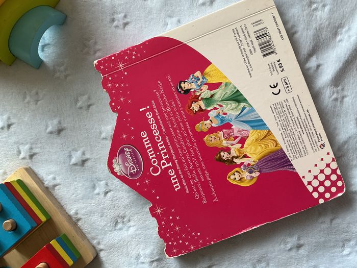 livre comme une princesse ! - photo numéro 4