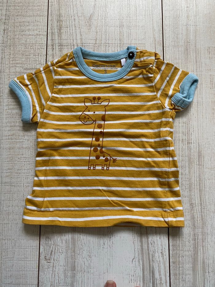 Ensemble girafe - photo numéro 2