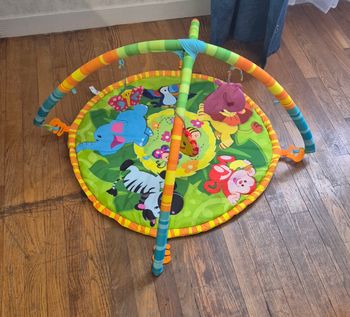Tapis d'éveil jungle baby carrefour winfun 1er age
