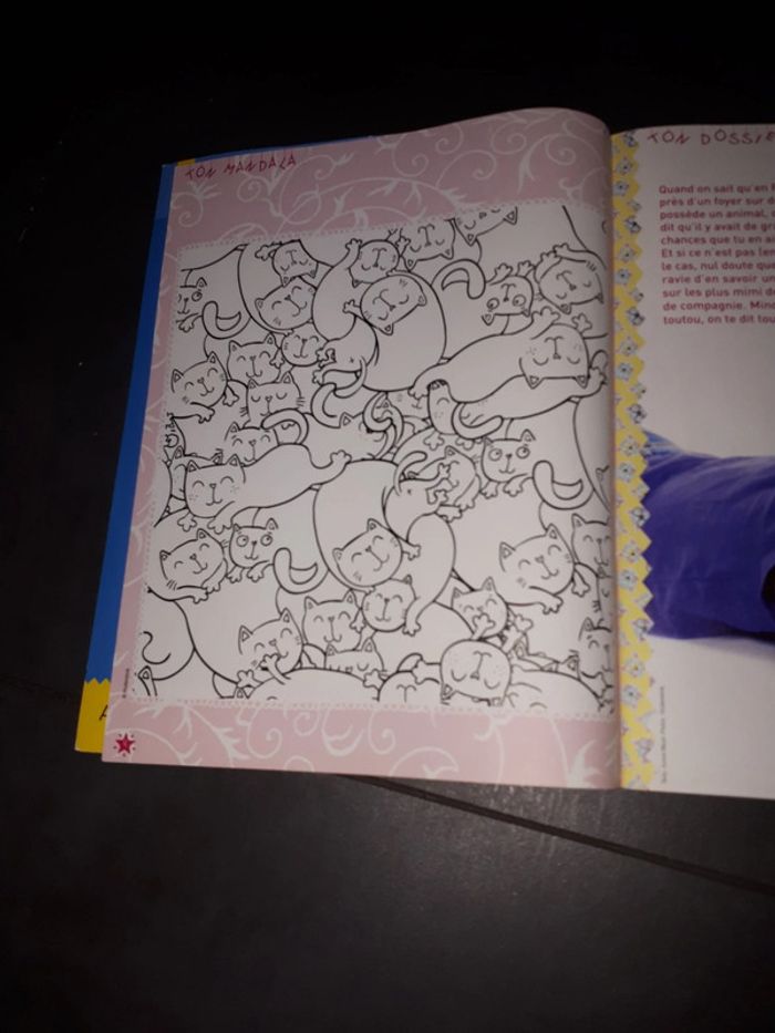 Magasine les p'tites sorcières n 211 - photo numéro 3