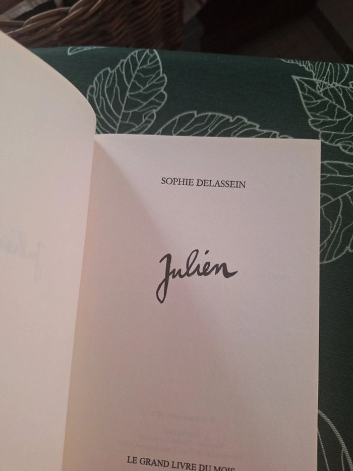 Livre biographie Julien clerc - photo numéro 5