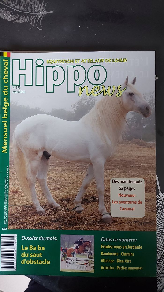 Lot Hippo News - photo numéro 9