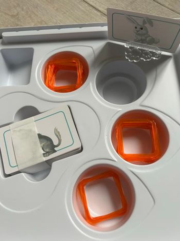 Concept kids animali - photo numéro 5