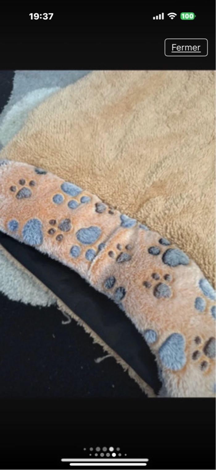 Transat et niche pour chat - photo numéro 3