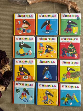 Lot de 12 livres P’tit Loup