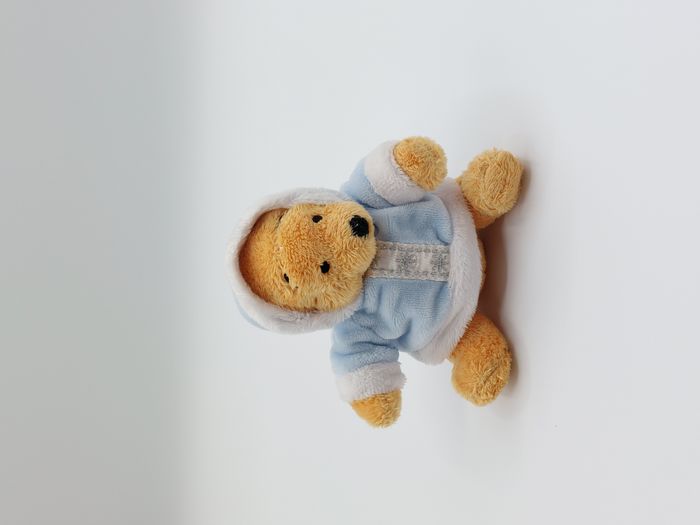 Mini peluche Winnie l’ourson DISNEY pull bleu capuche blanc flocon argent 11 cm