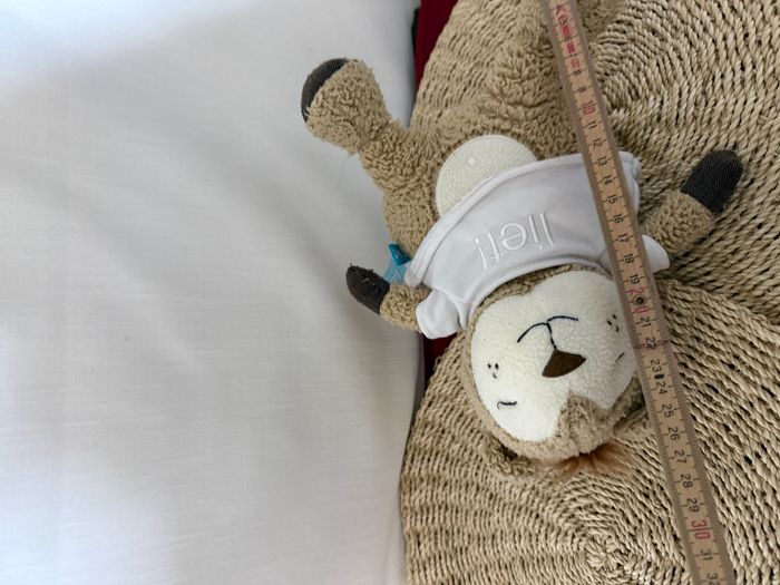 Doudou peluche ours Bert the Bear Pull blanc Lief - photo numéro 3