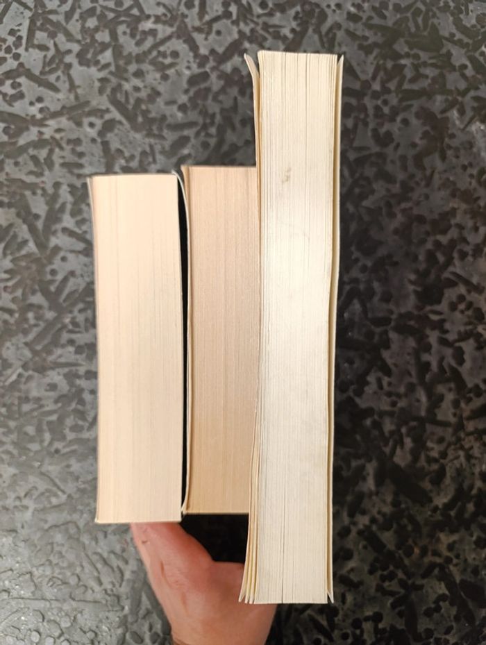 Livres Camilla Lackberg - photo numéro 9