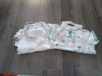 Lot polo