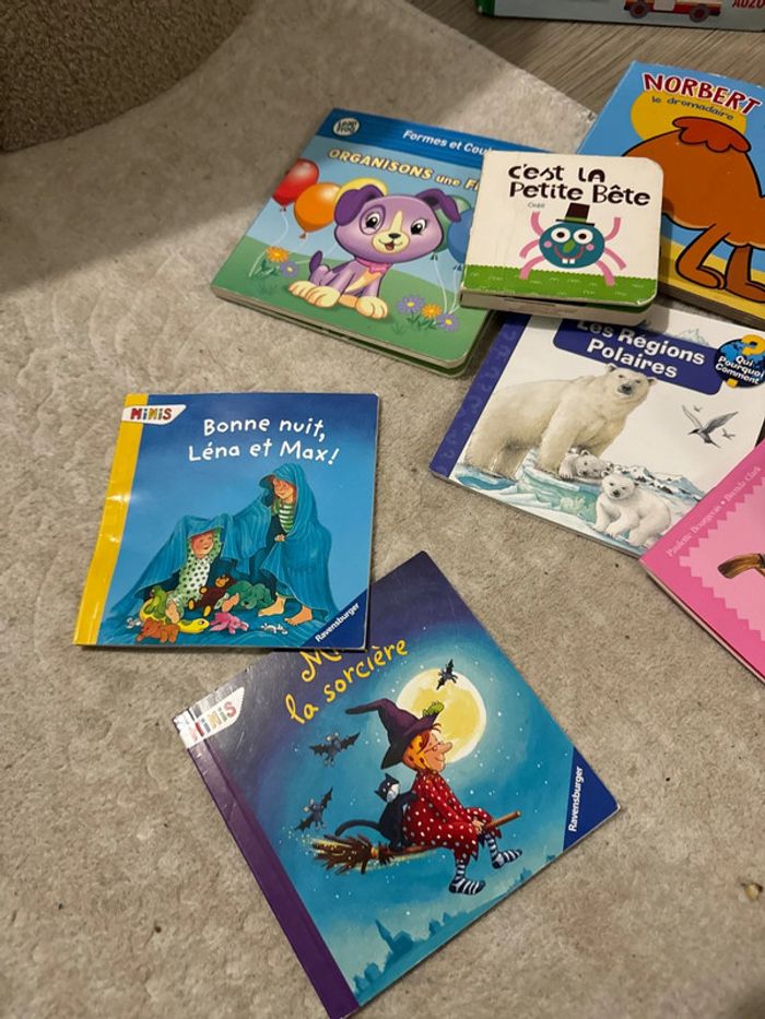 Lot livres pour enfants - photo numéro 20