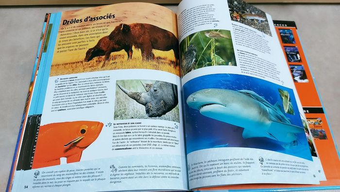 📚 Livre avec DVD pédagogique : Les pouvoirs secrets des animaux - photo numéro 5