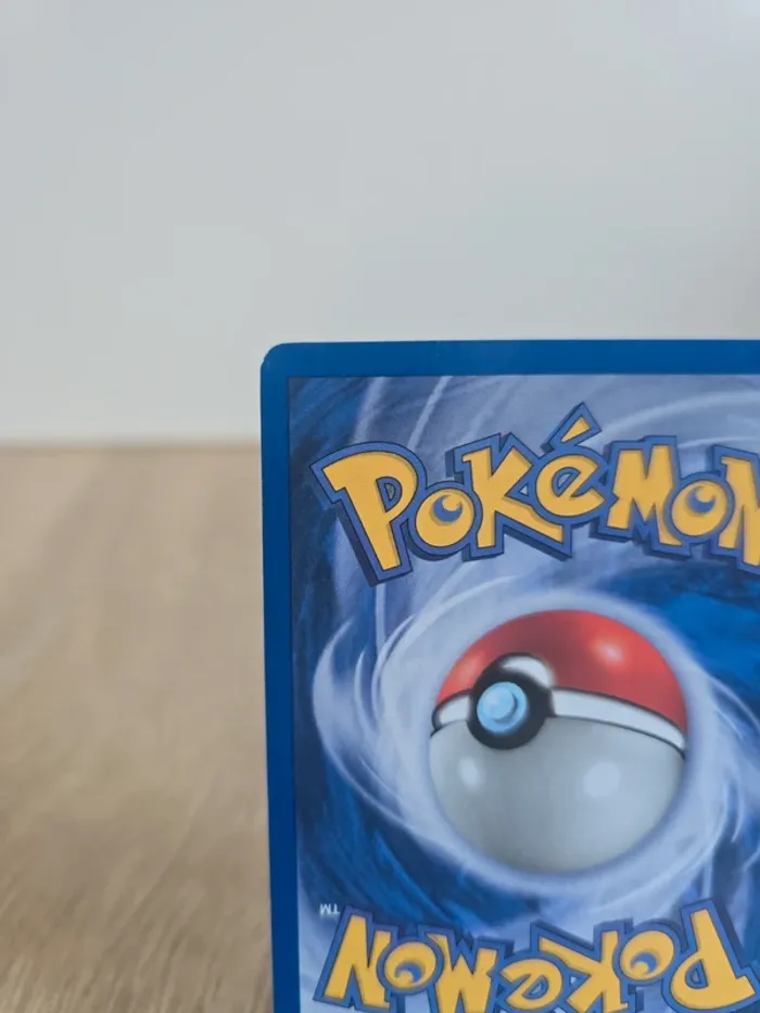 Lilia 68/110 - photo numéro 7